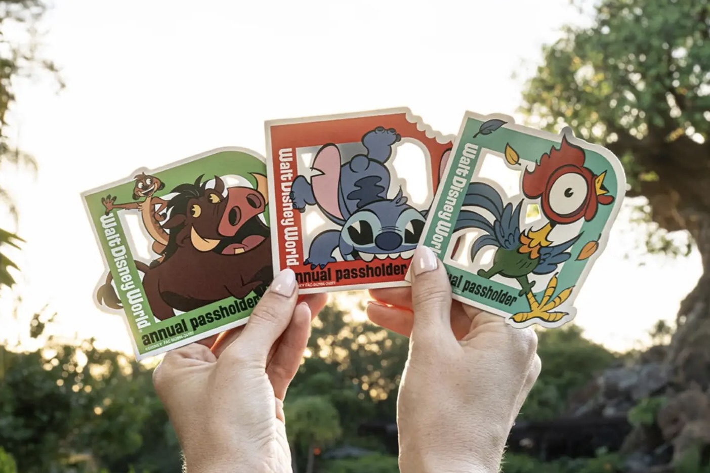 HeiHei Timon Stitch Magnet 2025