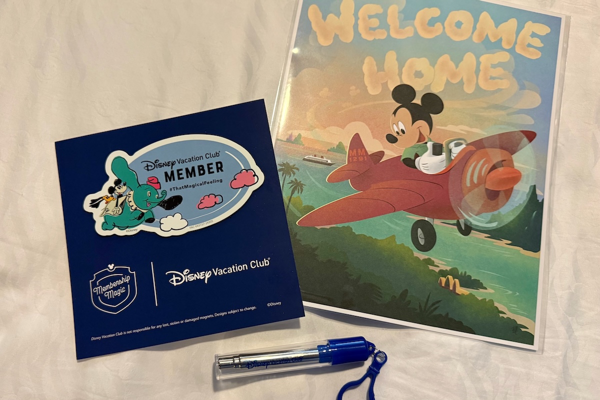 Disney Vacation Club Disney Cruise Line Straw Litho